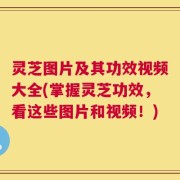 灵芝图片及其功效视频大全(掌握灵芝功效，看这些图片和视频！)