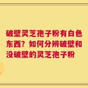 破壁灵芝孢子粉有白色东西？如何分辨破壁和没破壁的灵芝孢子粉
