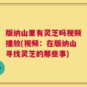 版纳山里有灵芝吗视频播放(视频：在版纳山寻找灵芝的那些事)