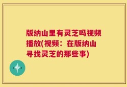 版纳山里有灵芝吗视频播放(视频：在版纳山寻找灵芝的那些事)