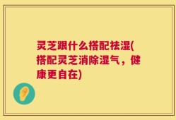 灵芝跟什么搭配祛湿(搭配灵芝消除湿气，健康更自在)
