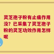 灵芝孢子粉有止痛作用没？已采集了灵芝孢子粉的灵芝功效作用怎样呢