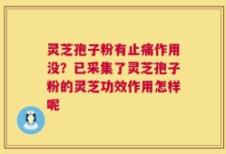 灵芝孢子粉有止痛作用没？已采集了灵芝孢子粉的灵芝功效作用怎样呢
