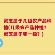 灵芝属于几级农产品种植(几级农产品种植？灵芝属于哪一级？)