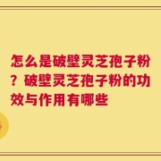 怎么是破壁灵芝孢子粉？破壁灵芝孢子粉的功效与作用有哪些