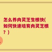 怎么养肉灵芝生根快(如何快速培育肉灵芝根？)