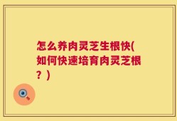 怎么养肉灵芝生根快(如何快速培育肉灵芝根？)