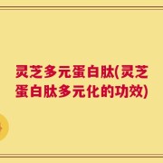 灵芝多元蛋白肽(灵芝蛋白肽多元化的功效)