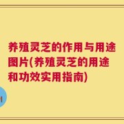 养殖灵芝的作用与用途图片(养殖灵芝的用途和功效实用指南)
