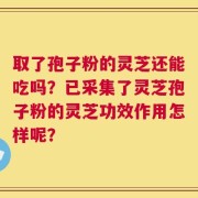 取了孢子粉的灵芝还能吃吗？已采集了灵芝孢子粉的灵芝功效作用怎样呢？