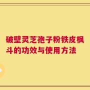破壁灵芝孢子粉铁皮枫斗的功效与使用方法