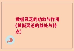 黄板灵芝的功效与作用(黄板灵芝的益处与特点)
