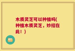 木质灵芝可以种植吗(种植木质灵芝，妙招在此！)