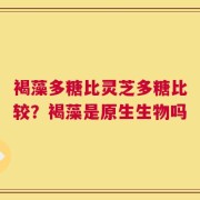 褐藻多糖比灵芝多糖比较？褐藻是原生生物吗