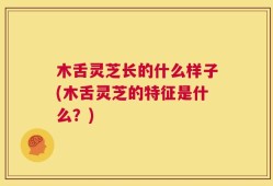 木舌灵芝长的什么样子(木舌灵芝的特征是什么？)
