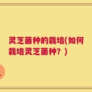 灵芝菌种的栽培(如何栽培灵芝菌种？)