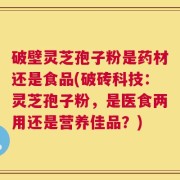 破壁灵芝孢子粉是药材还是食品(破砖科技：灵芝孢子粉，是医食两用还是营养佳品？)