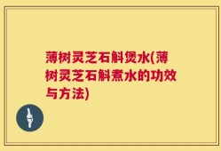 薄树灵芝石斛煲水(薄树灵芝石斛煮水的功效与方法)