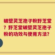 破壁灵芝孢子粉野芝堂？野芝堂破壁灵芝孢子粉的功效与使用方法？
