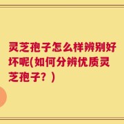 灵芝孢子怎么样辨别好坏呢(如何分辨优质灵芝孢子？)