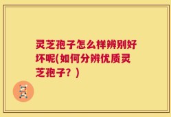 灵芝孢子怎么样辨别好坏呢(如何分辨优质灵芝孢子？)
