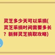 灵芝多少天可以采摘(灵芝采摘时间需要多长？新鲜灵芝摘取攻略)