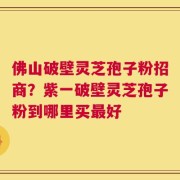 佛山破壁灵芝孢子粉招商？紫一破壁灵芝孢子粉到哪里买最好