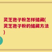 灵芝孢子粉怎样储藏(灵芝孢子粉的储藏方法)