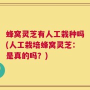 蜂窝灵芝有人工栽种吗(人工栽培蜂窝灵芝：是真的吗？)