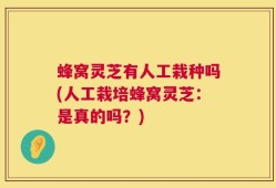 蜂窝灵芝有人工栽种吗(人工栽培蜂窝灵芝：是真的吗？)