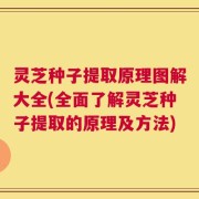 灵芝种子提取原理图解大全(全面了解灵芝种子提取的原理及方法)