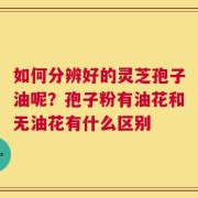 如何分辨好的灵芝孢子油呢？孢子粉有油花和无油花有什么区别