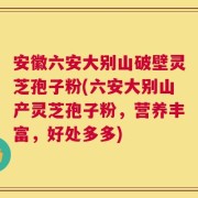 安徽六安大别山破壁灵芝孢子粉(六安大别山产灵芝孢子粉，营养丰富，好处多多)