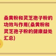 桑黄粉和灵芝孢子粉的功效与作用(桑黄粉和灵芝孢子粉的健康益处汇总)