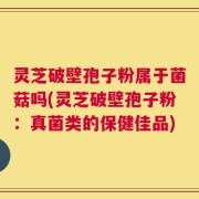 灵芝破壁孢子粉属于菌菇吗(灵芝破壁孢子粉：真菌类的保健佳品)