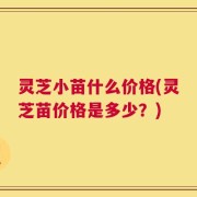 灵芝小苗什么价格(灵芝苗价格是多少？)