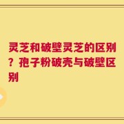 灵芝和破壁灵芝的区别？孢子粉破壳与破壁区别