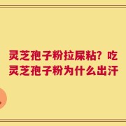 灵芝孢子粉拉屎粘？吃灵芝孢子粉为什么出汗
