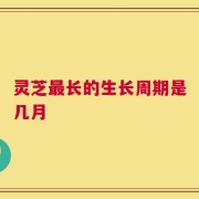 灵芝最长的生长周期是几月