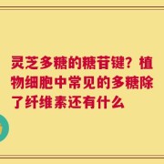 灵芝多糖的糖苷键？植物细胞中常见的多糖除了纤维素还有什么