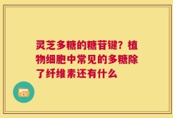 灵芝多糖的糖苷键？植物细胞中常见的多糖除了纤维素还有什么