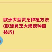 欧洲大型灵芝种植方法(欧洲灵芝大规模种植技巧)