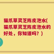 猫爪草灵芝陈皮泡水(猫爪草灵芝陈皮泡水的好处，你知道吗？)