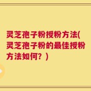 灵芝孢子粉授粉方法(灵芝孢子粉的最佳授粉方法如何？)