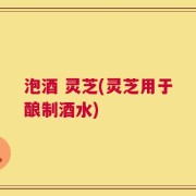 泡酒 灵芝(灵芝用于酿制酒水)