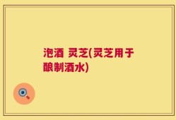 泡酒 灵芝(灵芝用于酿制酒水)