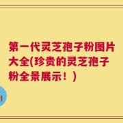第一代灵芝孢子粉图片大全(珍贵的灵芝孢子粉全景展示！)