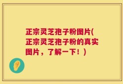 正宗灵芝孢子粉图片(正宗灵芝孢子粉的真实图片，了解一下！)