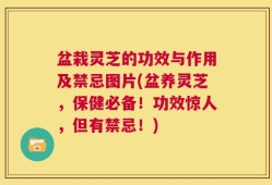 盆栽灵芝的功效与作用及禁忌图片(盆养灵芝，保健必备！功效惊人，但有禁忌！)