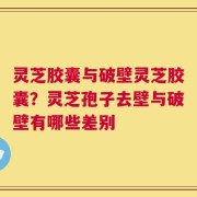 灵芝胶囊与破壁灵芝胶囊？灵芝孢子去壁与破壁有哪些差别